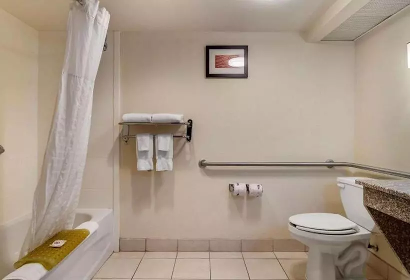 Standard-huone King-vuode, Comfort Inn & Suites