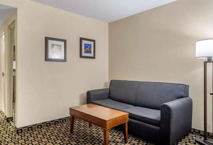Sviitti King-vuode, Comfort Inn & Suites