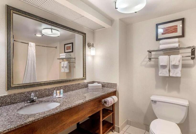 جناح سرير كينج, Comfort Inn & Suites