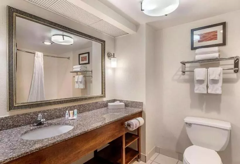 Sviitti King-vuode, Comfort Inn & Suites