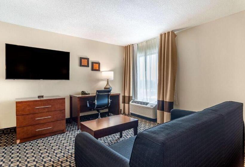 キングサイズベッドのスイートルーム, Comfort Inn & Suites