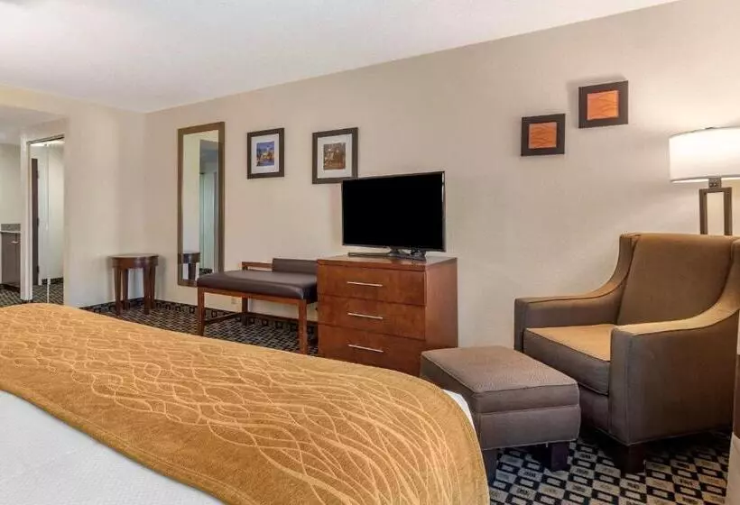 Sviitti King-vuode, Comfort Inn & Suites