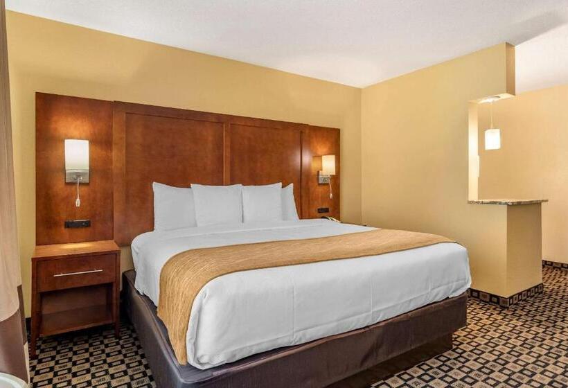 身障者適用キングサイズベッドルーム, Comfort Inn & Suites