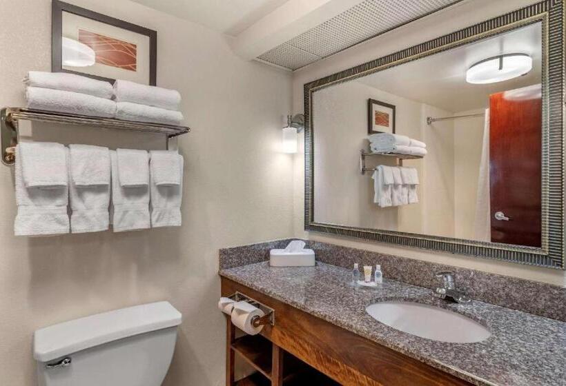 غرفة قياسية سرير كينج لذوى الإحتياجات الخاصة, Comfort Inn & Suites