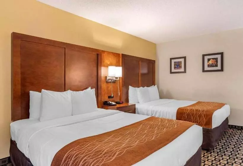 Standard-invahuone King-vuode, Comfort Inn & Suites