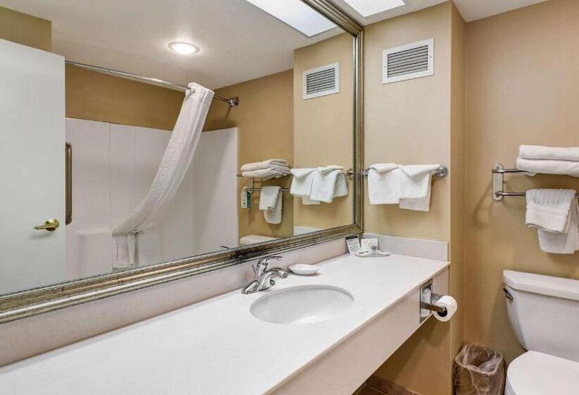 غرفة قياسية سرير كينج, Comfort Inn Bellingham