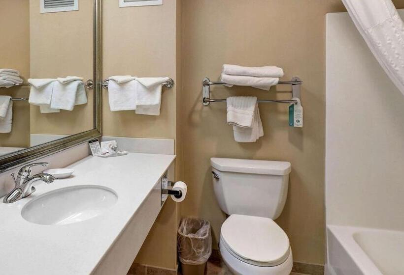 غرفة قياسية سرير كينج, Comfort Inn Bellingham