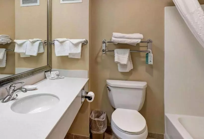 キングサイズベッドのスタンダードルーム, Comfort Inn Bellingham