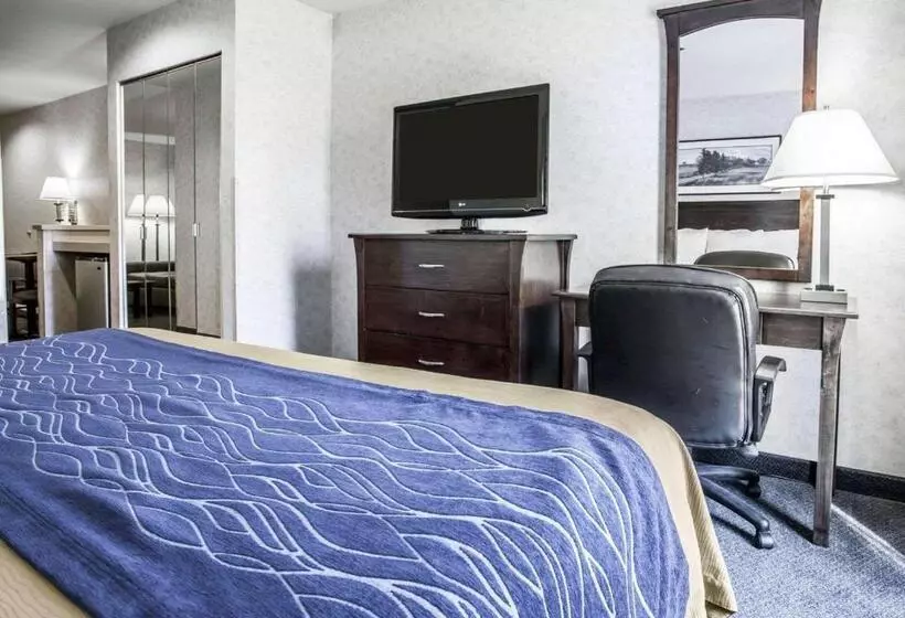 キングサイズベッドのスタンダードルーム, Comfort Inn Bellingham