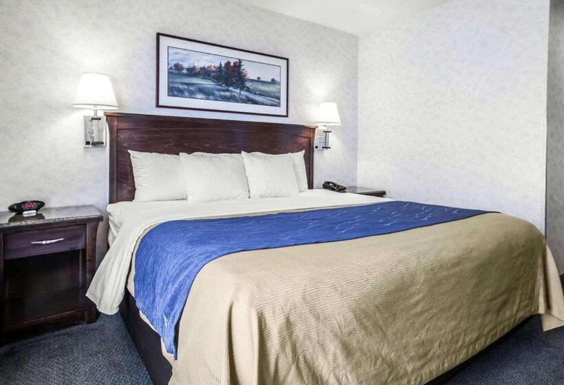 غرفة قياسية سرير كينج, Comfort Inn Bellingham