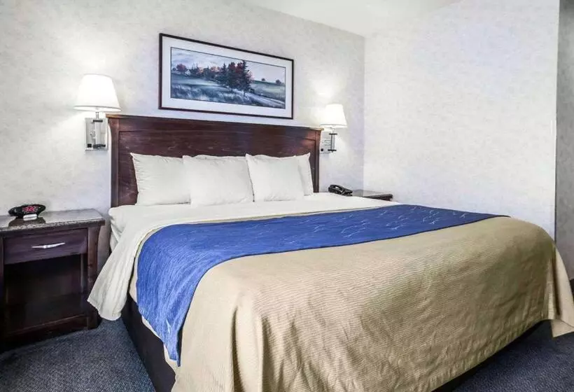 キングサイズベッドのスタンダードルーム, Comfort Inn Bellingham