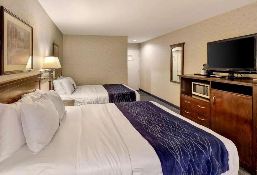 غرفة قياسية, Comfort Inn Bellingham