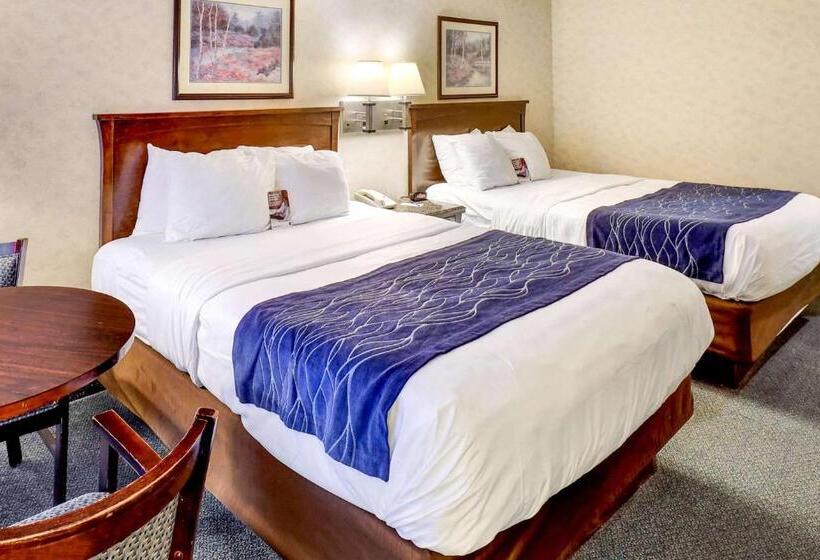 غرفة قياسية, Comfort Inn Bellingham