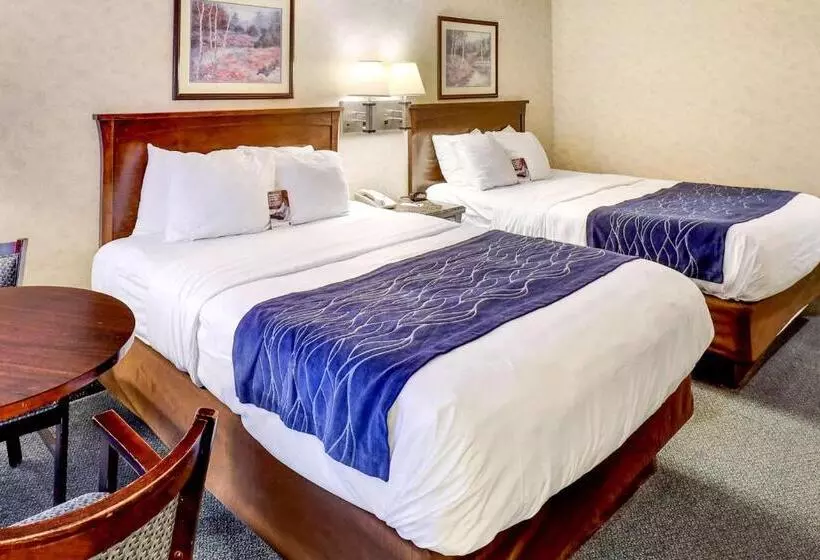 スタンダードルーム, Comfort Inn Bellingham