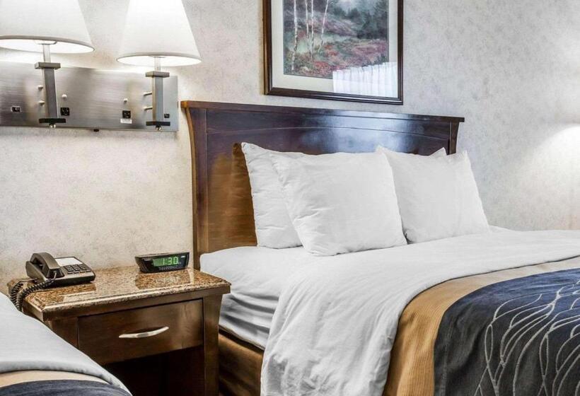 غرفة قياسية, Comfort Inn Bellingham