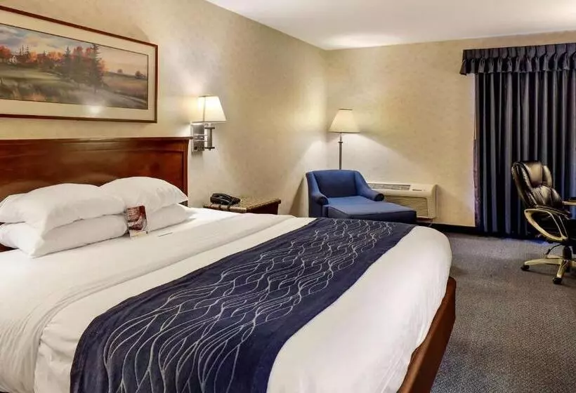 キングサイズベッドのスイートルーム, Comfort Inn Bellingham