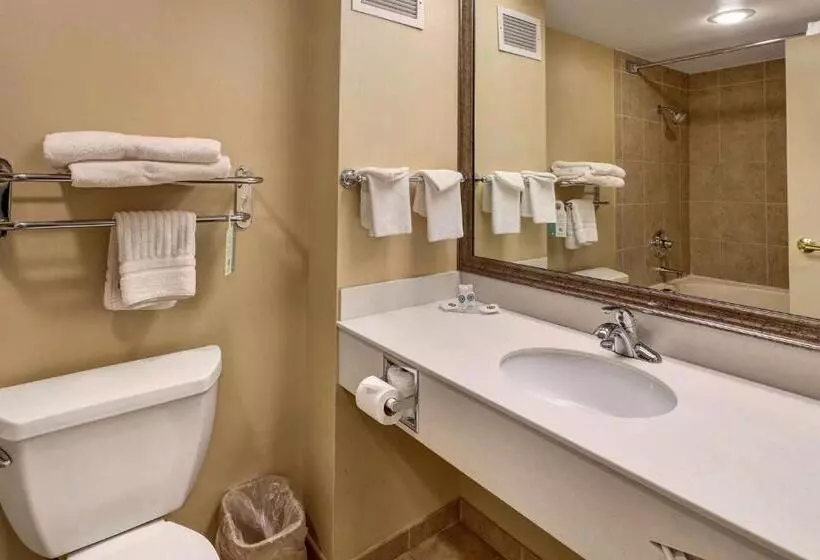 キングサイズベッドのスイートルーム, Comfort Inn Bellingham