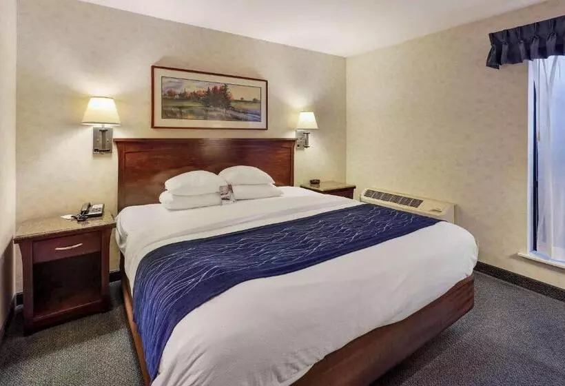 キングサイズベッドのスイートルーム, Comfort Inn Bellingham