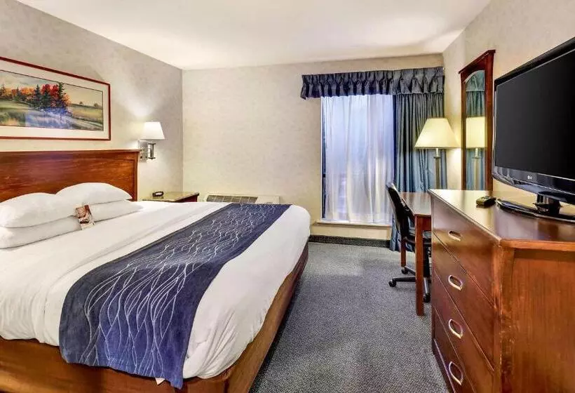 キングサイズベッドのスイートルーム, Comfort Inn Bellingham