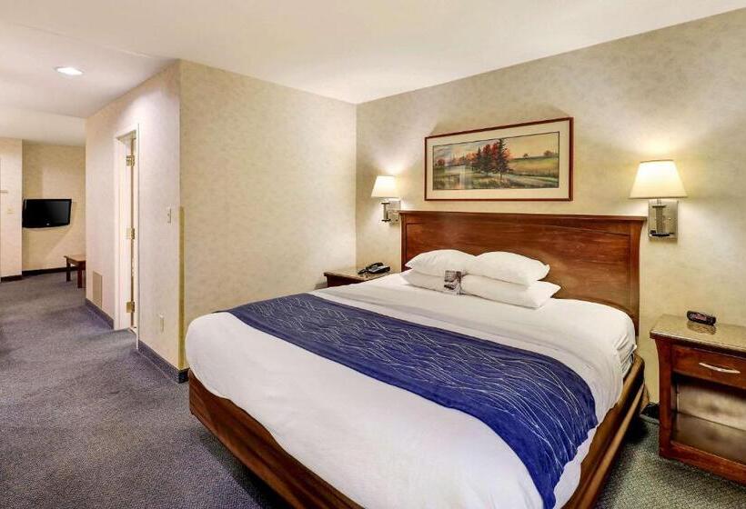 מיטת קינג בסוויטה, Comfort Inn Bellingham
