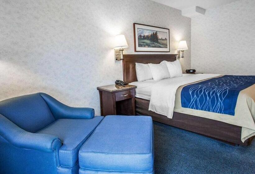 جناح سرير كينج, Comfort Inn Bellingham