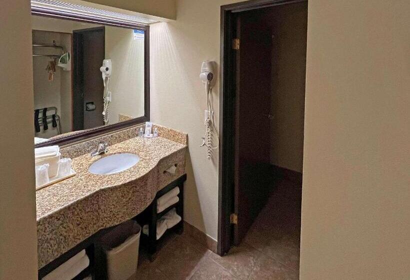 스탠다드 룸 킹사이즈 침대, Comfort Inn West Phoenix At 27th Ave And I I0
