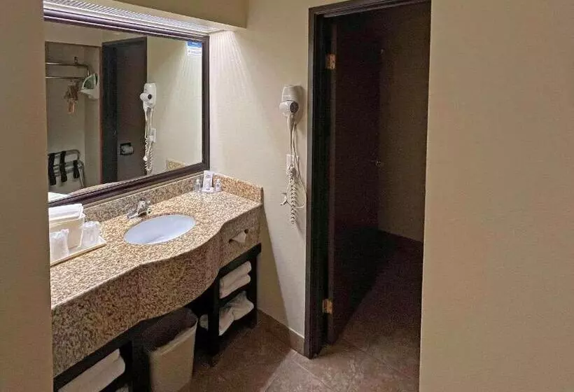 اتاق استاندارد با تخت بزرگ, Comfort Inn West Phoenix At 27th Ave And I I0