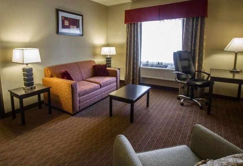 سوئیت با تخت بزرگ, Comfort Inn West Phoenix At 27th Ave And I I0