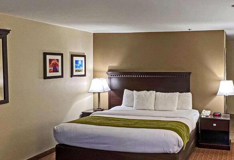 اتاق استاندارد, Comfort Inn West Phoenix At 27th Ave And I I0