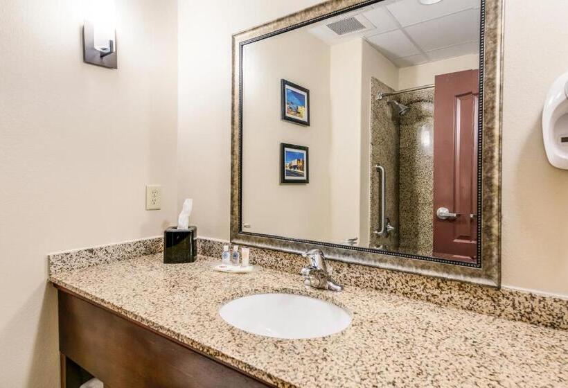 מיטת קינג בסוויטה, Comfort Suites Fort Stockton