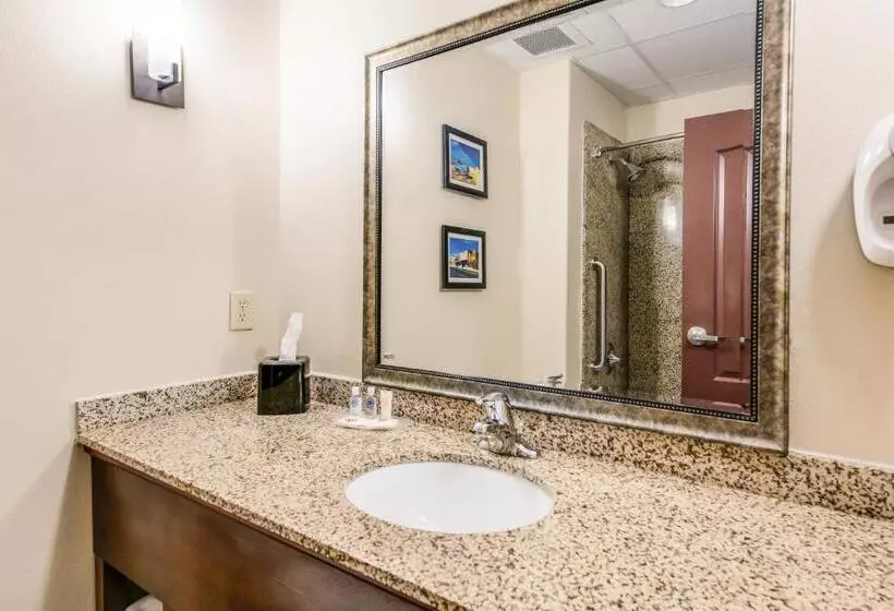 Sviitti King-vuode, Comfort Suites Fort Stockton