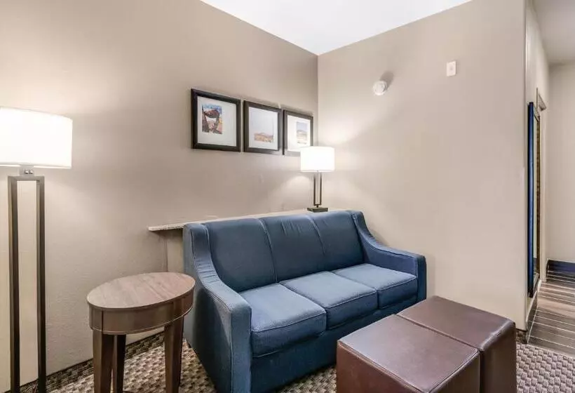 Sviitti King-vuode, Comfort Suites Fort Stockton