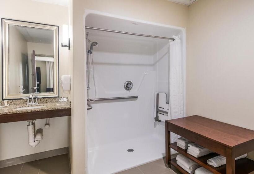 身障者適用スイートルーム, Comfort Suites Fort Stockton