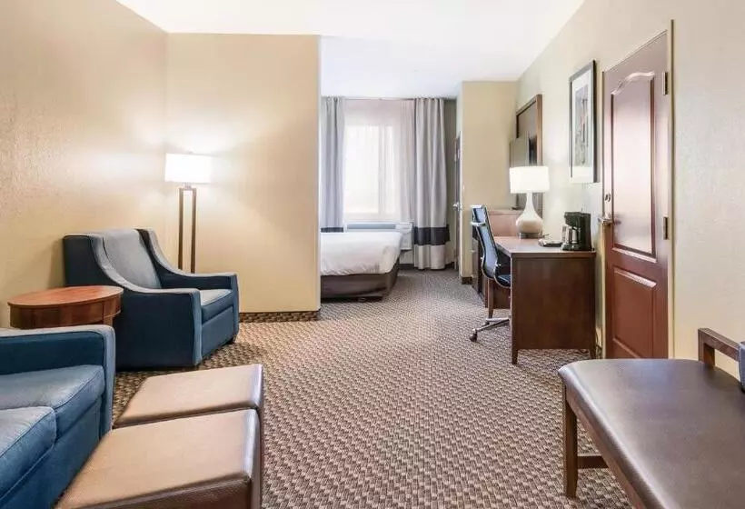 Sviitti Liikuntarajoitteisille, Comfort Suites Fort Stockton