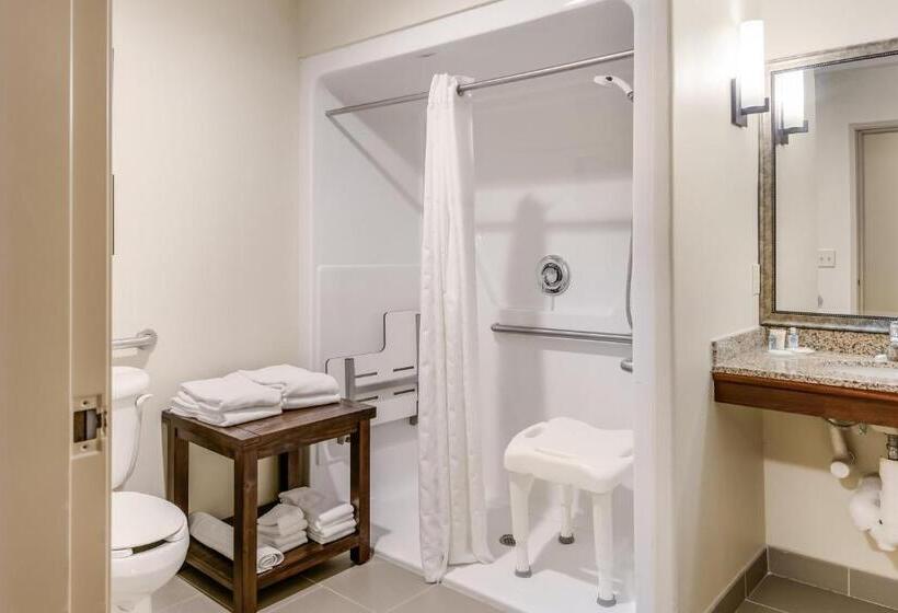 Люкс Адаптированный для Инвалидов, Comfort Suites Fort Stockton