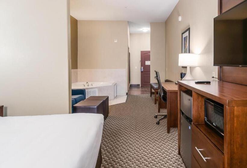 身障者適用スイートルーム, Comfort Suites Fort Stockton