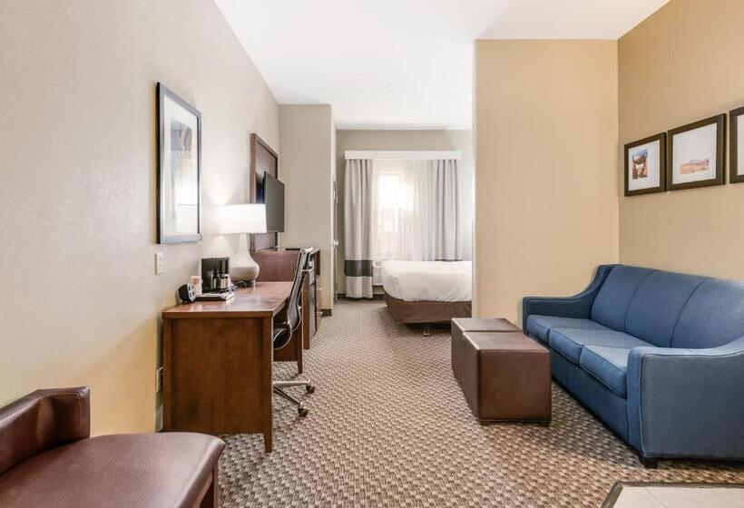 身障者適用スイートルーム, Comfort Suites Fort Stockton