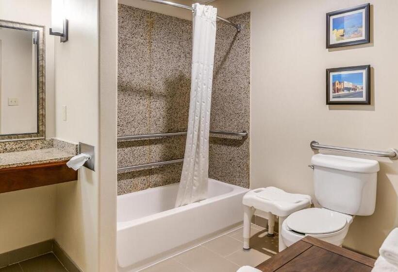 Люкс Адаптированный для Инвалидов, Comfort Suites Fort Stockton