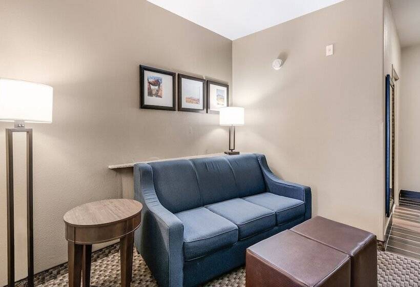 スイート, Comfort Suites Fort Stockton