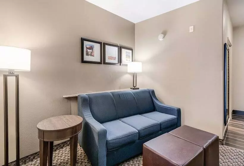 Sviitti, Comfort Suites Fort Stockton