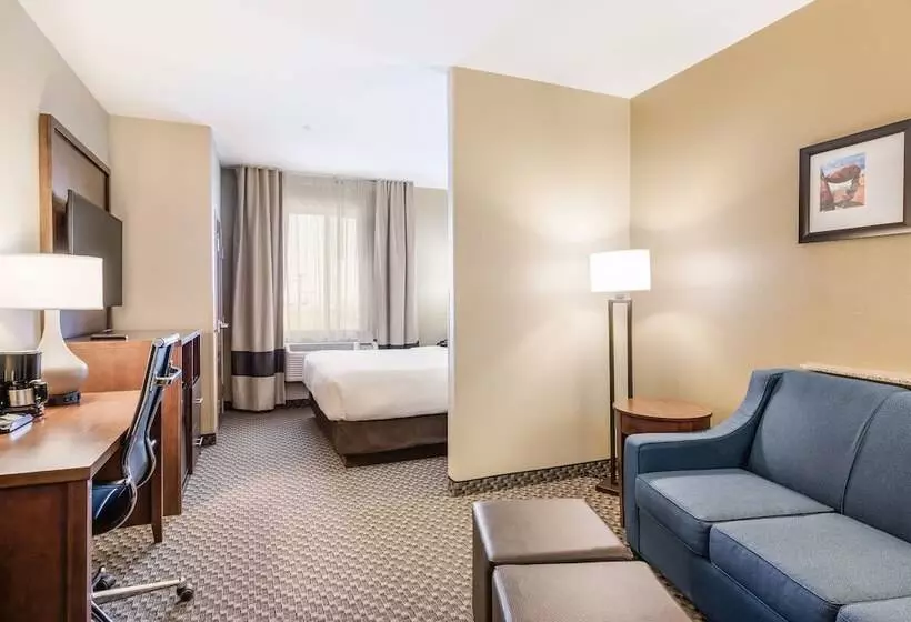 Sviitti, Comfort Suites Fort Stockton
