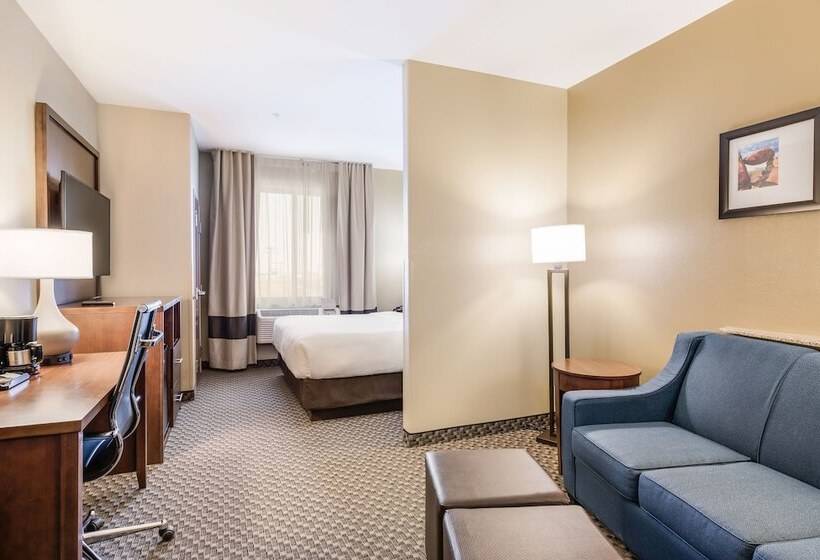 身障者適用スイートルーム, Comfort Suites Fort Stockton