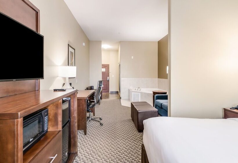 身障者適用スイートルーム, Comfort Suites Fort Stockton