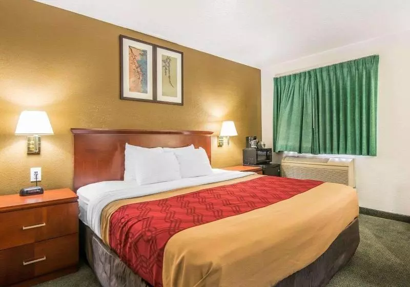 キングサイズベッドのスタンダードルーム, Econo Lodge