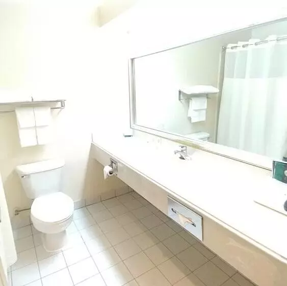 Standard-huone King-vuode, Quality Inn Bastrop