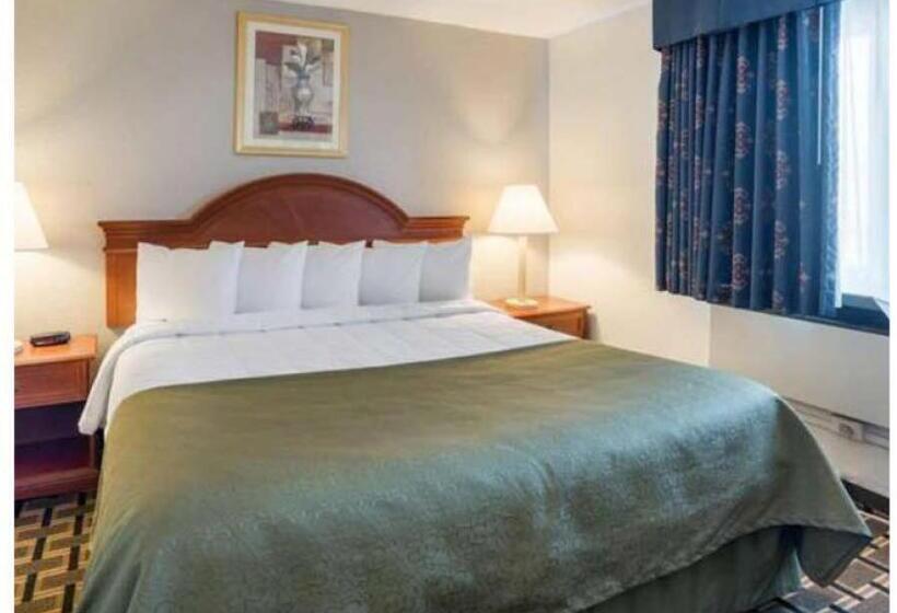 장애인을 위한 킹사이즈 침대 스탠다드 룸, Quality Inn