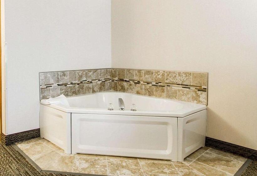 غرفة قياسية سرير كينج, Quality Inn & Suites Stoughton  Madison South