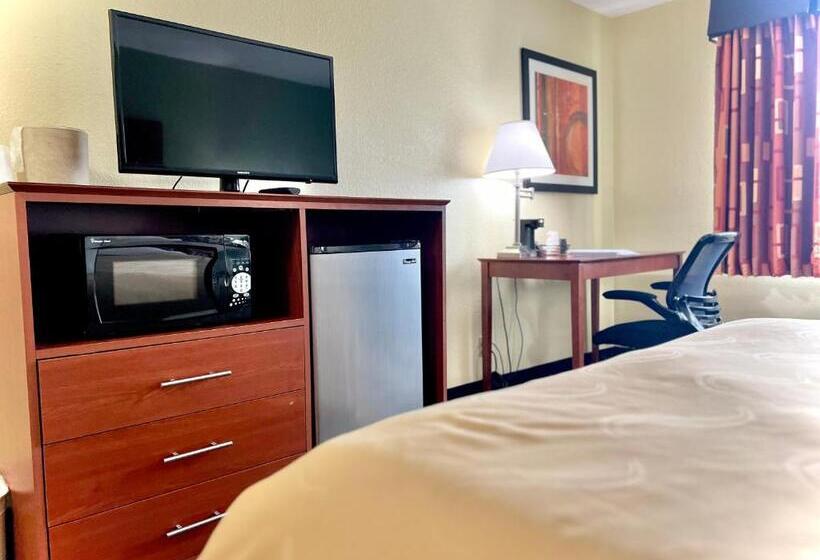 Номер Стандарт, Quality Inn & Suites Wisconsin Dells Downtown   Waterparks Area