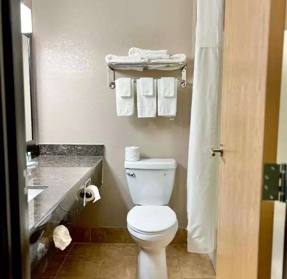 اتاق استاندارد, Quality Inn & Suites Wisconsin Dells Downtown   Waterparks Area
