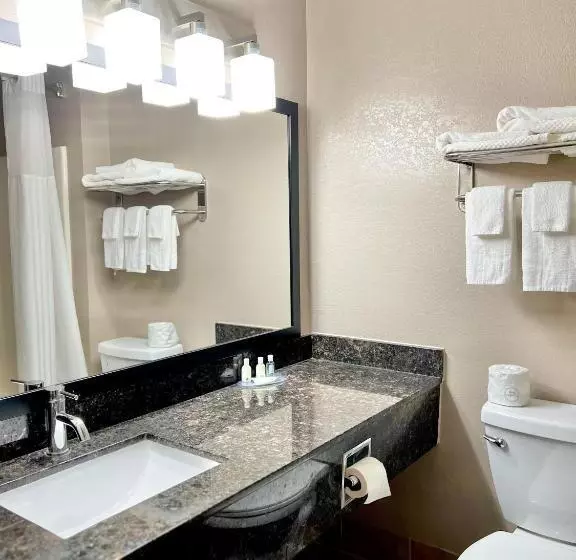 سوئیت با تخت بزرگ, Quality Inn & Suites Wisconsin Dells Downtown   Waterparks Area